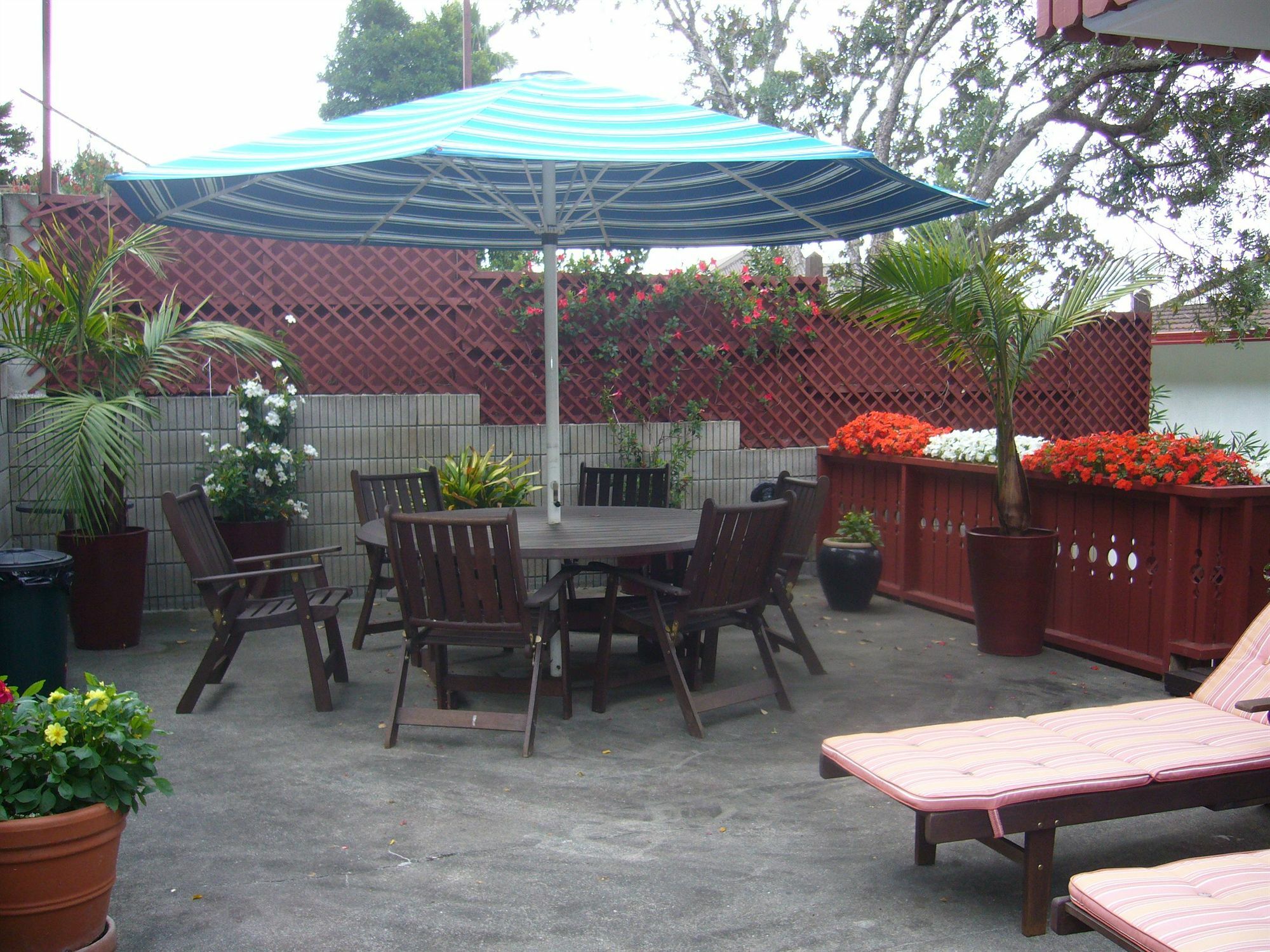 Swiss Chalet alojamiento Motel Paihia Exterior foto